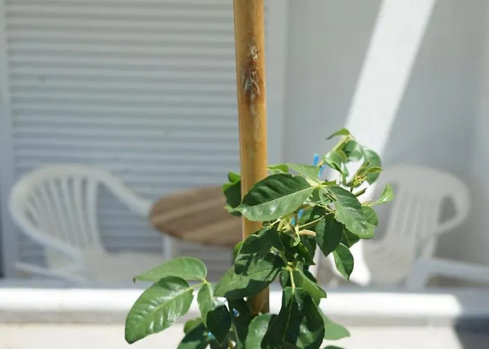 Hotel Mare Monti Sarti